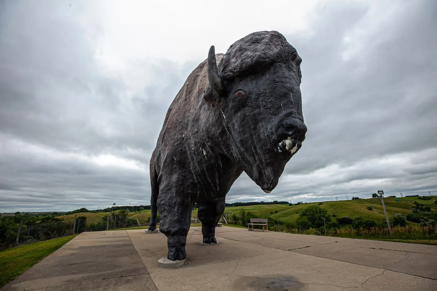 World's Largest Buffalo Monument in Jamestown, North Dakota | North Dakota Roadside Attractions