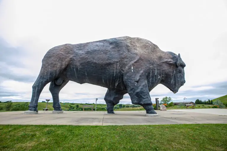 World's Largest Buffalo Monument in Jamestown, ND Silly America