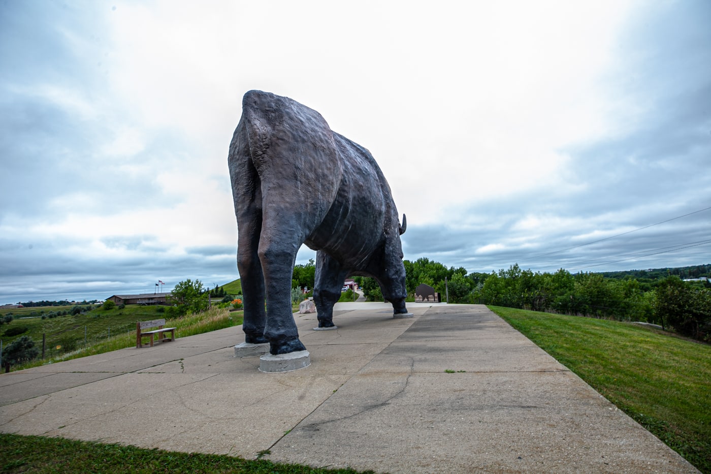 World's Largest Buffalo Monument in Jamestown, North Dakota | North Dakota Roadside Attractions