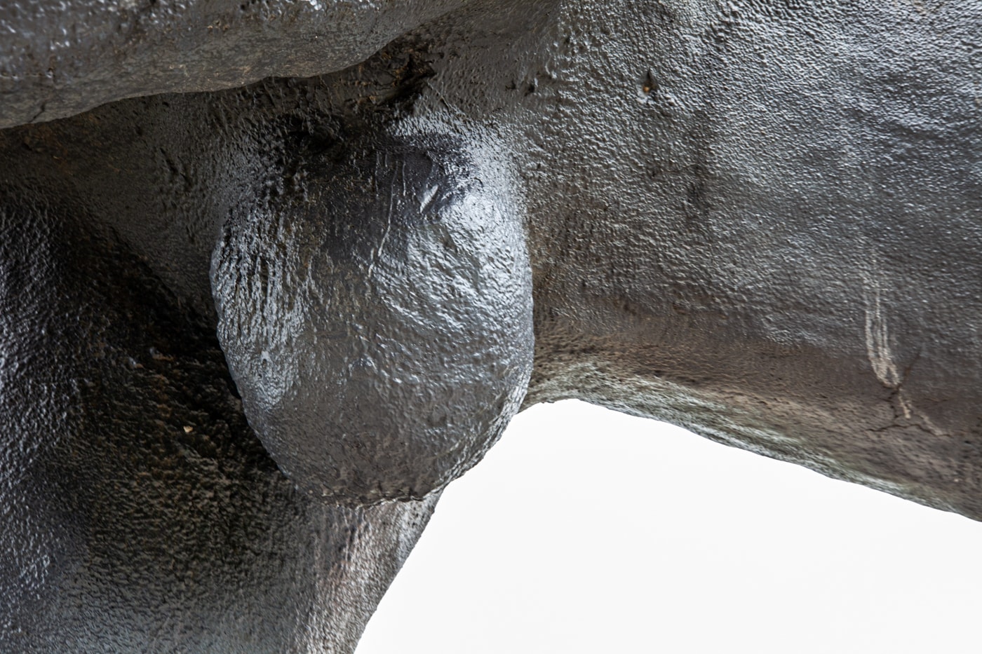 World's Largest Buffalo Monument in Jamestown, North Dakota | North Dakota Roadside Attractions