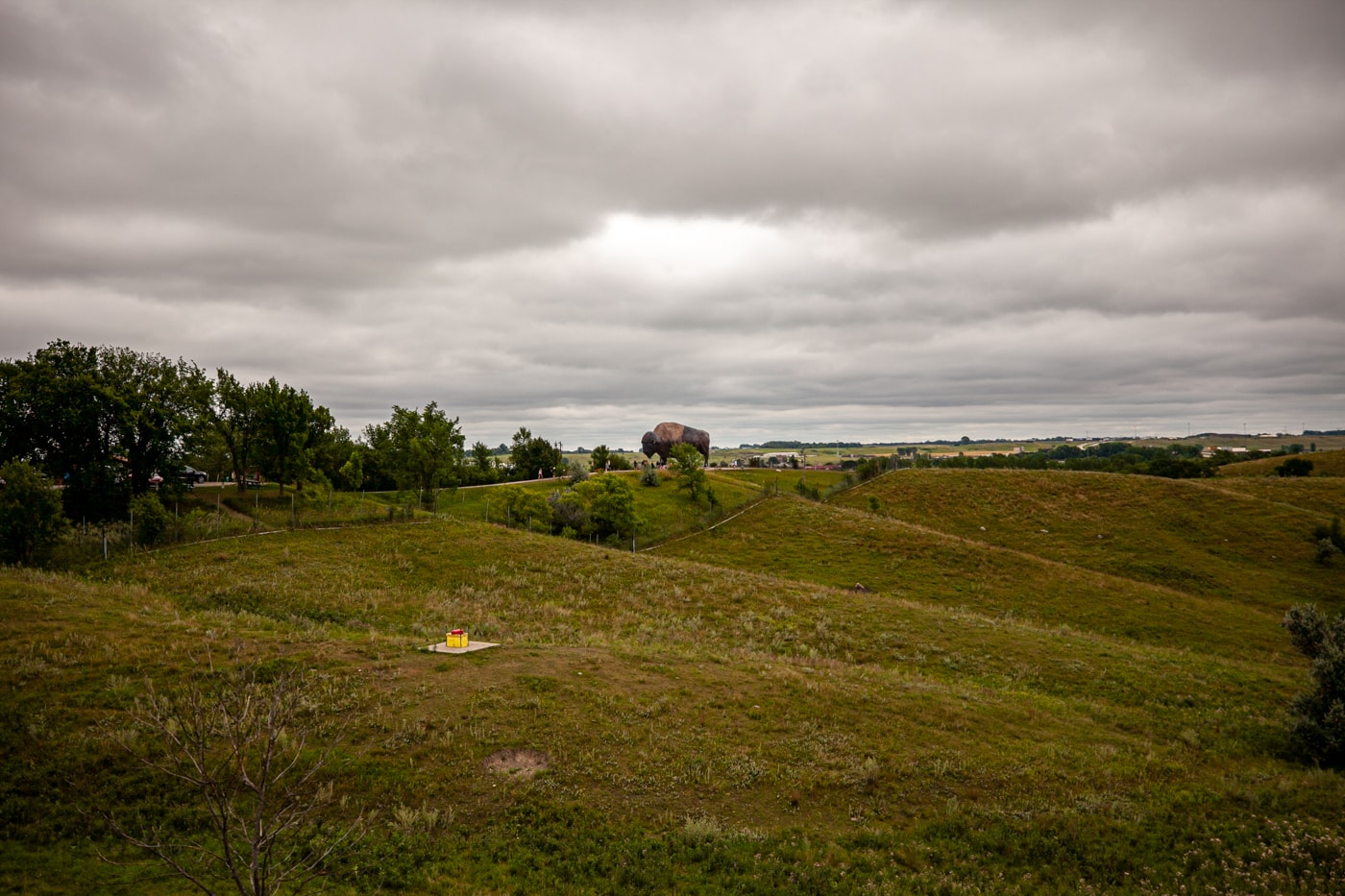 World's Largest Buffalo Monument in Jamestown, North Dakota | North Dakota Roadside Attractions