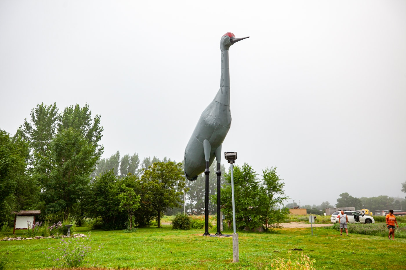 Sandy the World's Largest Sandhill Crane in Steele, North Dakota | North Dakota Roadside Attractions