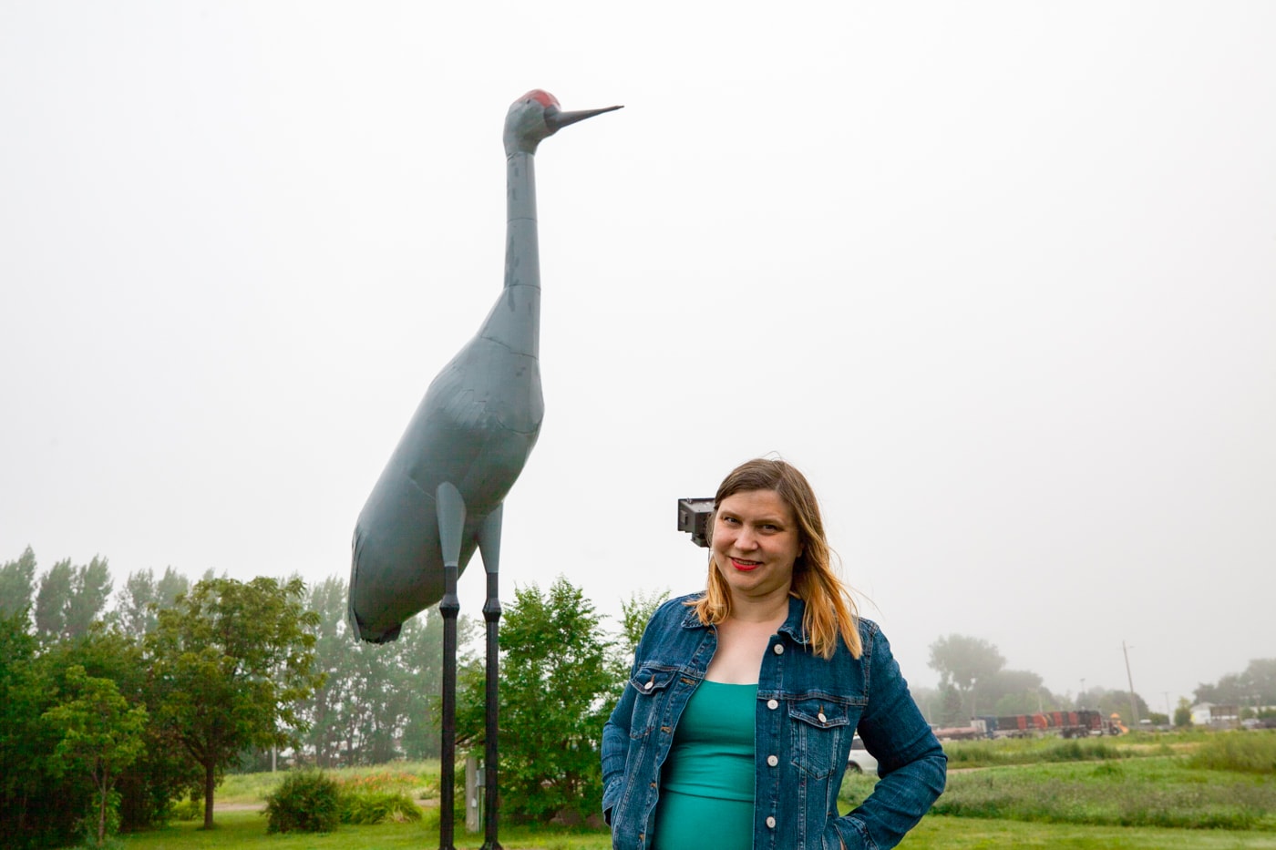 Sandy the World's Largest Sandhill Crane in Steele, North Dakota | North Dakota Roadside Attractions