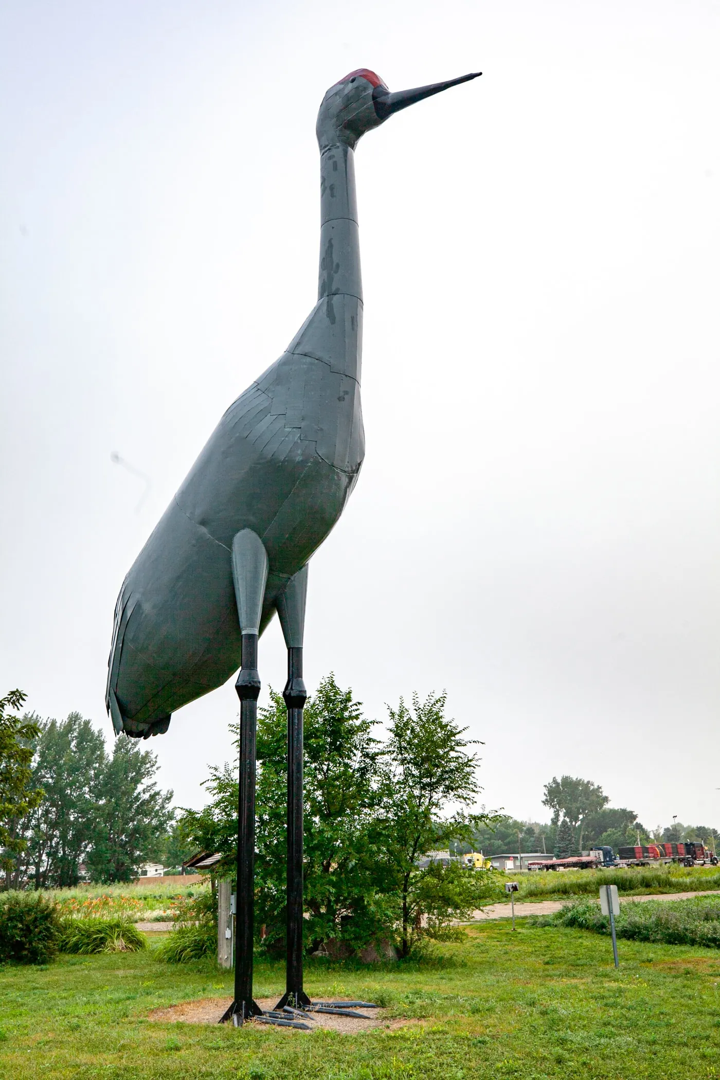 Sandy the World's Largest Sandhill Crane in Steele, North Dakota | North Dakota Roadside Attractions