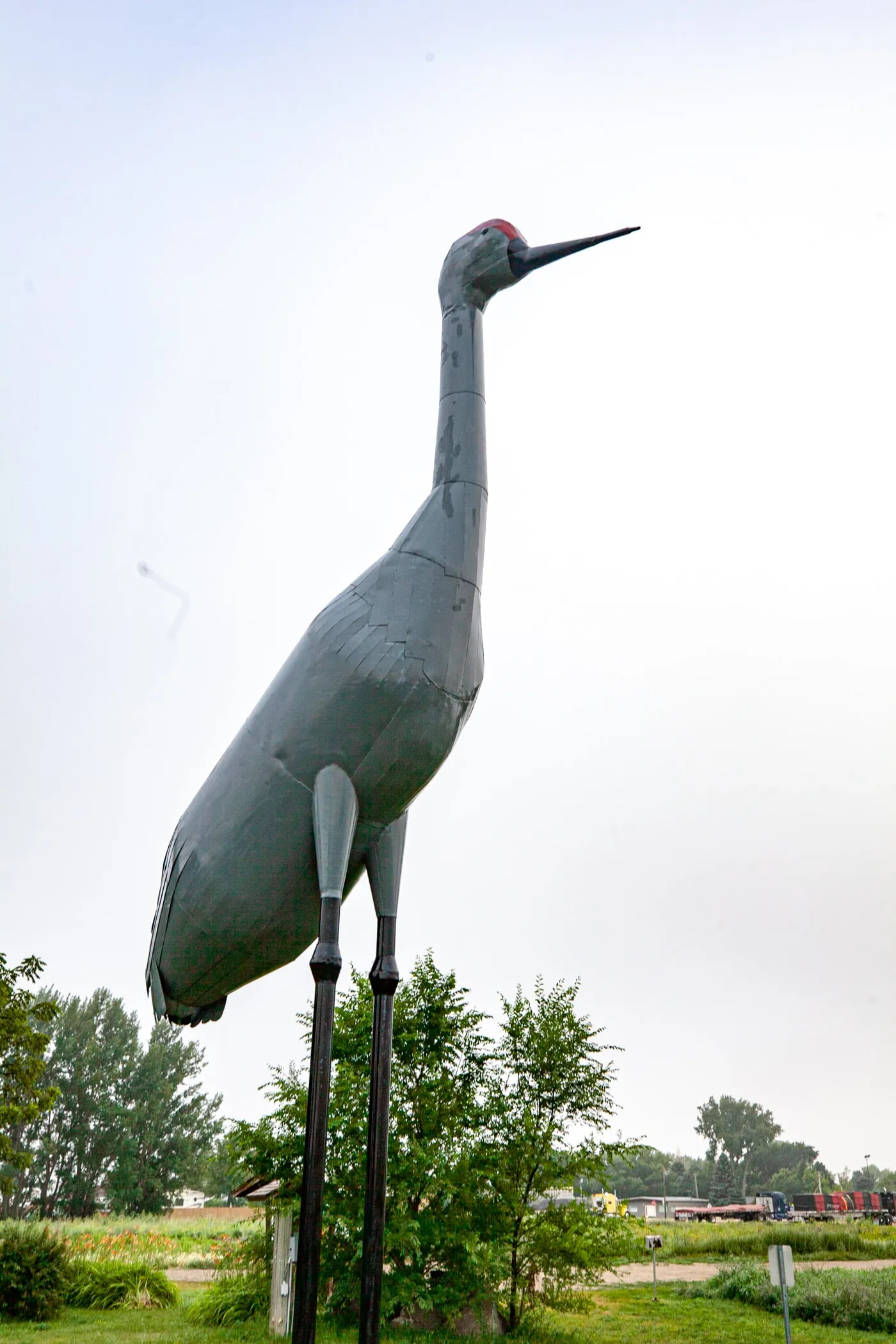 Sandy the World's Largest Sandhill Crane in Steele, North Dakota | North Dakota Roadside Attractions