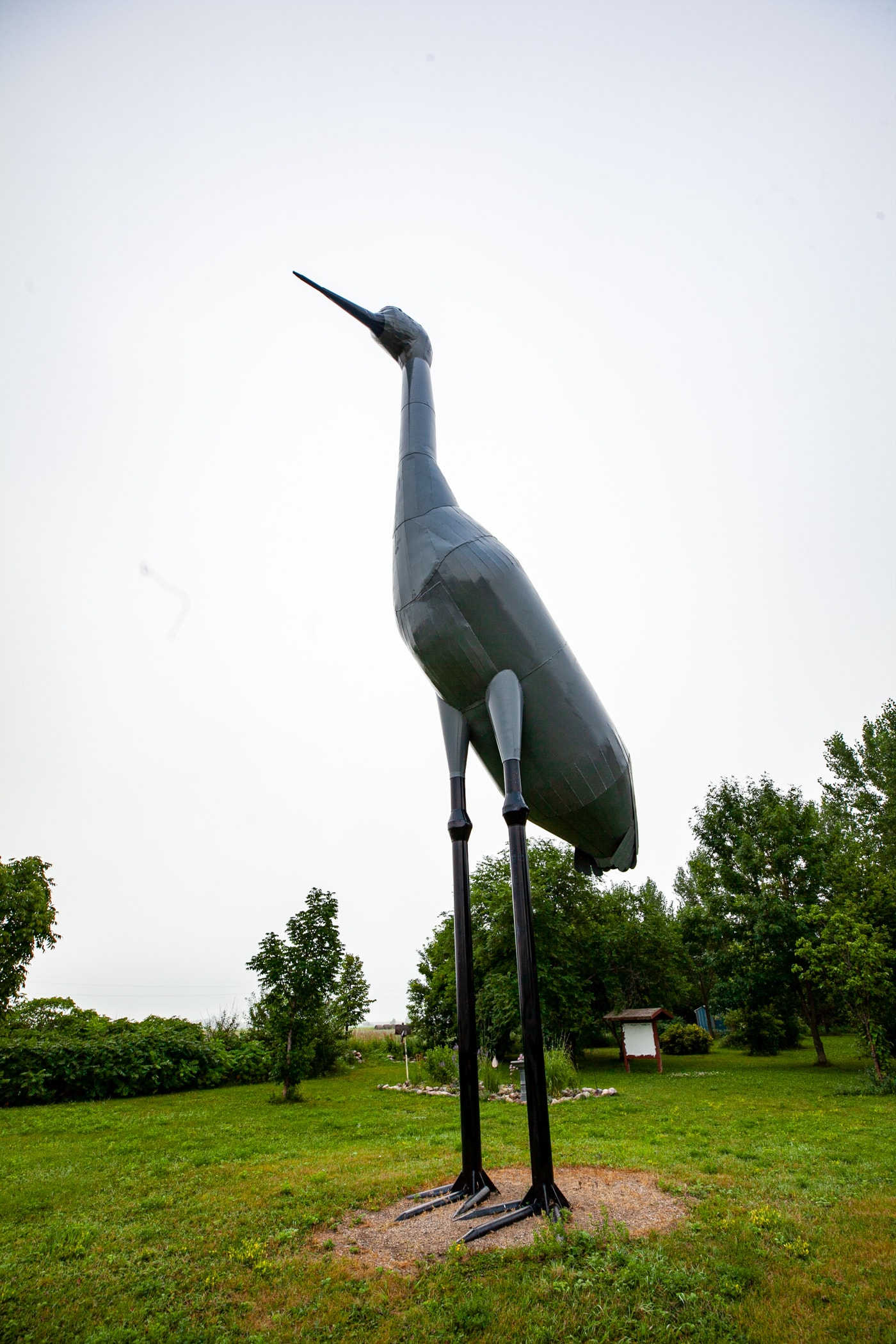 Sandy the World's Largest Sandhill Crane in Steele, North Dakota | North Dakota Roadside Attractions