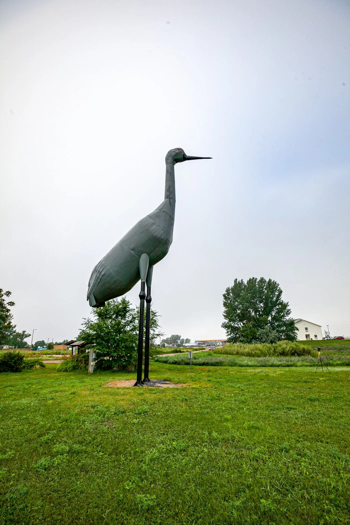 Sandy the World's Largest Sandhill Crane in Steele, North Dakota | North Dakota Roadside Attractions