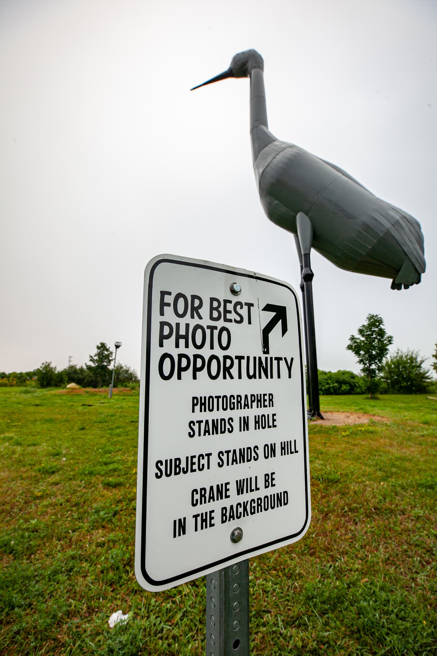 Sandy the World's Largest Sandhill Crane in Steele, North Dakota | North Dakota Roadside Attractions