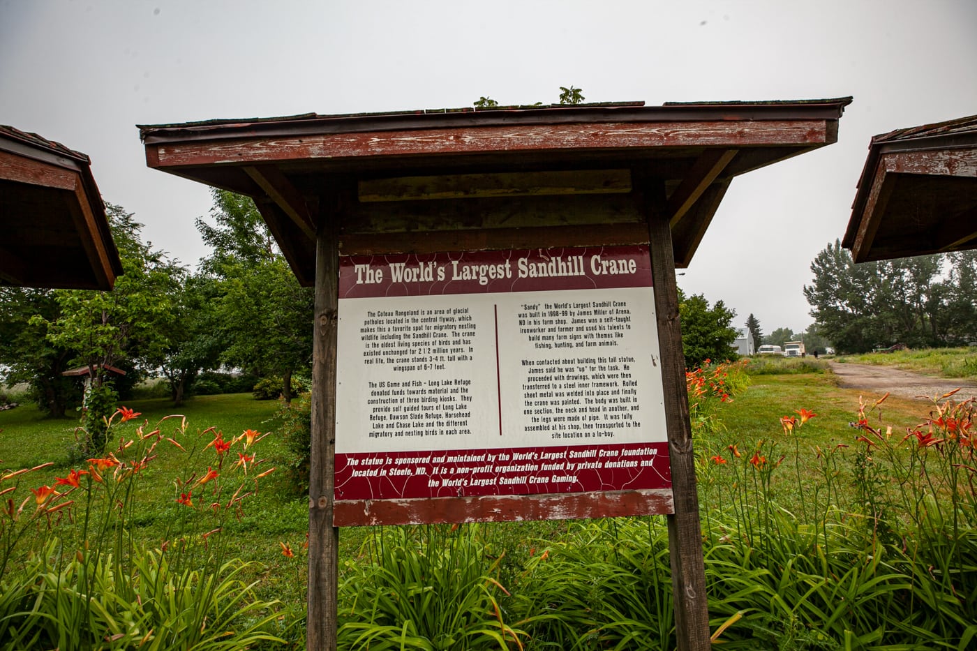 Sandy the World's Largest Sandhill Crane in Steele, North Dakota | North Dakota Roadside Attractions