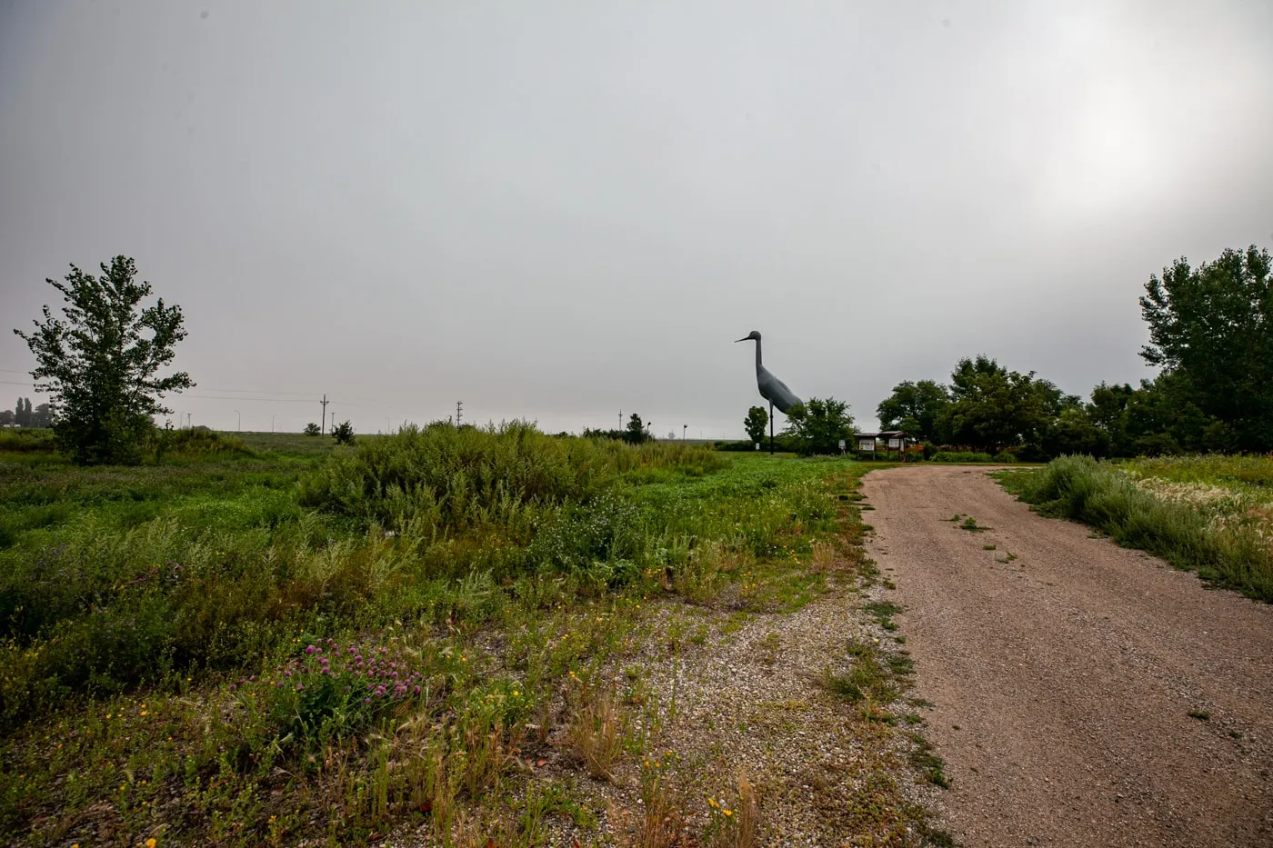 Sandy the World's Largest Sandhill Crane in Steele, North Dakota | North Dakota Roadside Attractions