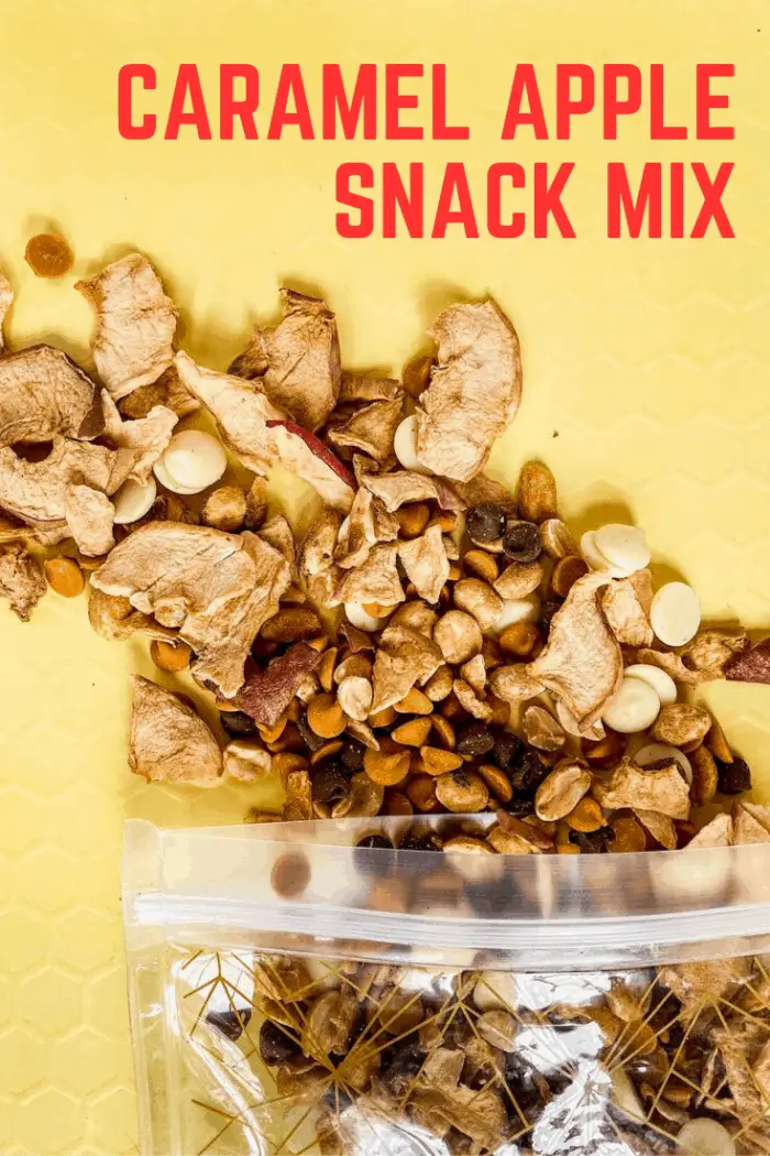 If you're looking for the perfect snack to pack on a fall road trip, look no further than this caramel apple snack mix made with apple chips, caramel chips, peanuts, and chocolate. It tastes just like your favorite candy apple and is so reminiscent of autumn flavors.