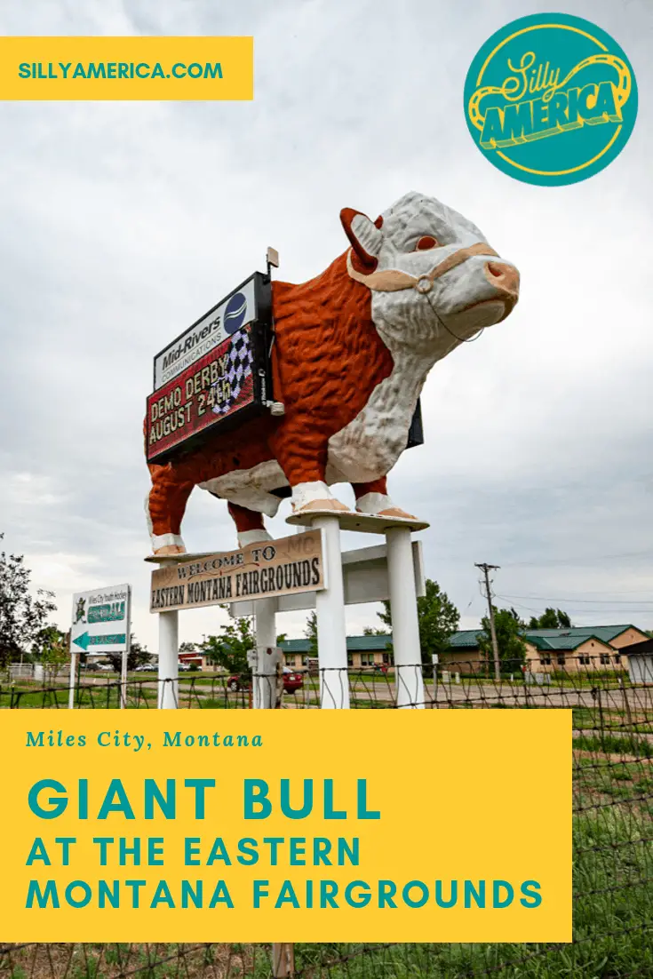 There's a giant bull at the entrance to the Eastern Montana Fairgrounds in Miles City, Montana that advertises events like the Eastern Montana Fai and more. Stop by this weird roadside attraction on a Montana road trip with kids or adults.
#MontanaRoadsideAttractions #MontanaRoadsideAttraction #RoadsideAttractions #RoadsideAttraction #RoadTrip #MontanaRoadTrip #MontanaRoadTripIdeas #MontanaWinterRoadTrip #MontanaRoadTripWithKids #WeirdRoadsideAttractions #RoadTripStops