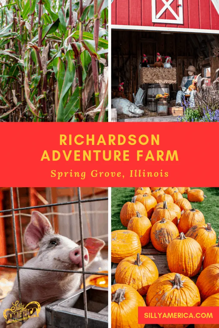 At Richardson Adventure Farm in Spring Grove, Illinois you can pick pumpkins, watch pig races, and get lost in the world's largest corn maze. Full of fun activities to celebrate the autumn harvest.
#PumpkinFarm #PumpkinFarmIdeas #PumpkinFarmPhotography #AutumnHarvest #PumpkinFarmActivities #Halloween #PumpkinFarmAesthetic #CornMaze #CornMazePhotoshoot #IllinoisPumpkinFarm