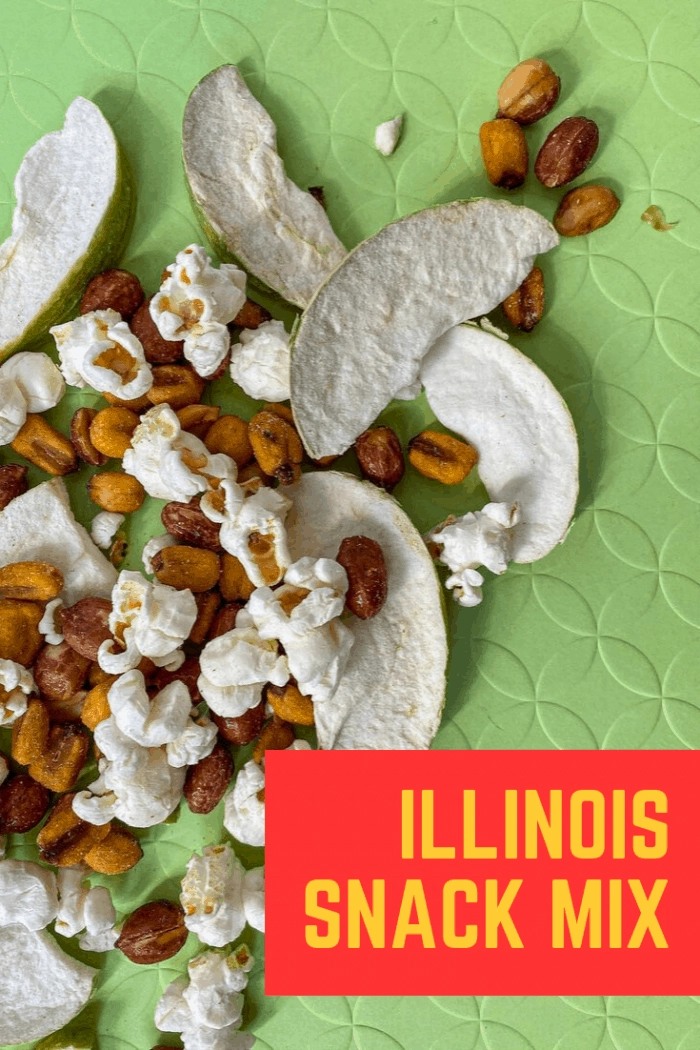 What Illinois road trip snacks should you pack for your road trip and what's in an Illinois snack mix recipe? Try these official state snacks like popcorn, corn, beer nuts, and apples.