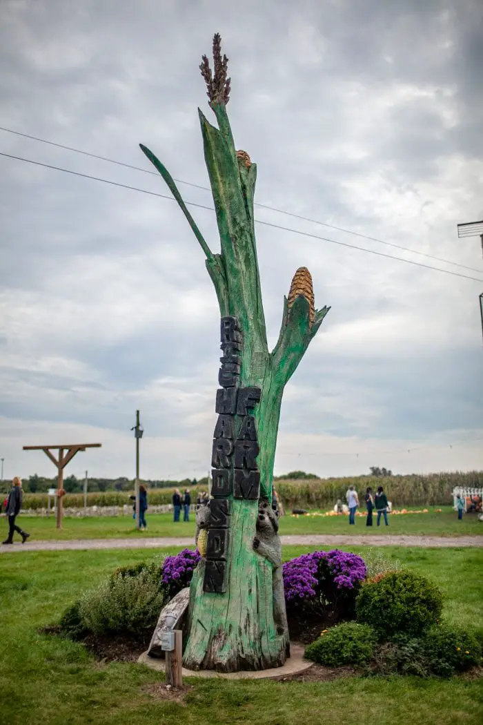 The World's Tallest Corn Stalk at Richardson Adventure Farm in Spring Grove, Illinois.