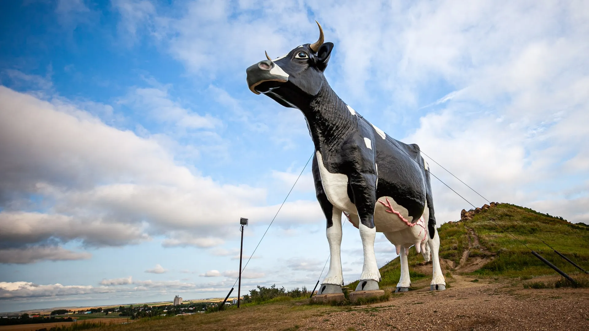 Salem Sue the World's Largest Holstein Cow- Roadside Attraction Zoom Background Images for video conferencing backdrops.