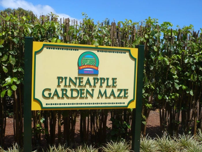 Best Roadside Attractions - Hawaii - Dole Pineapple Garden Maze