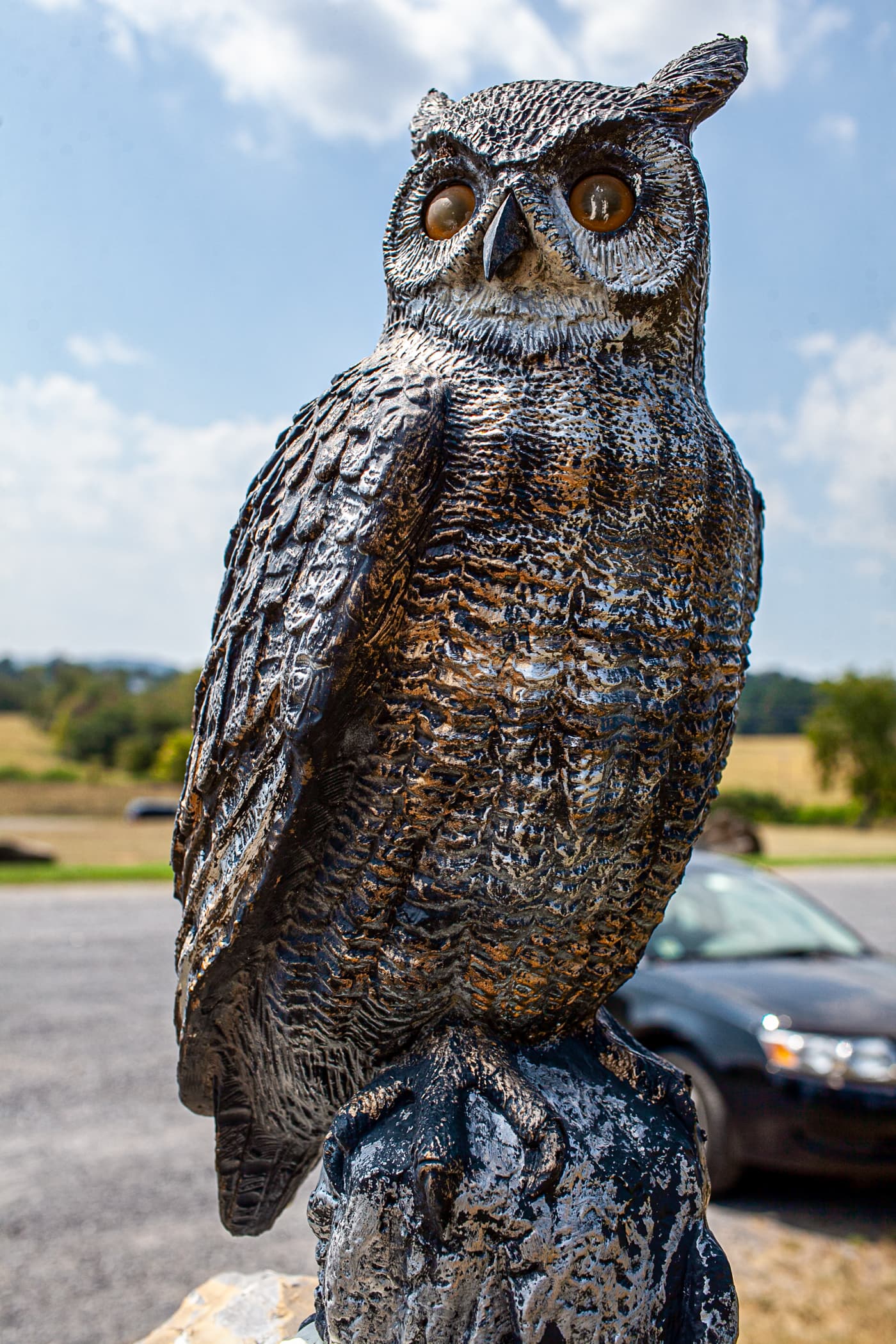 Owl outside Shenandoah Caverns in Quicksburg, Virginia.