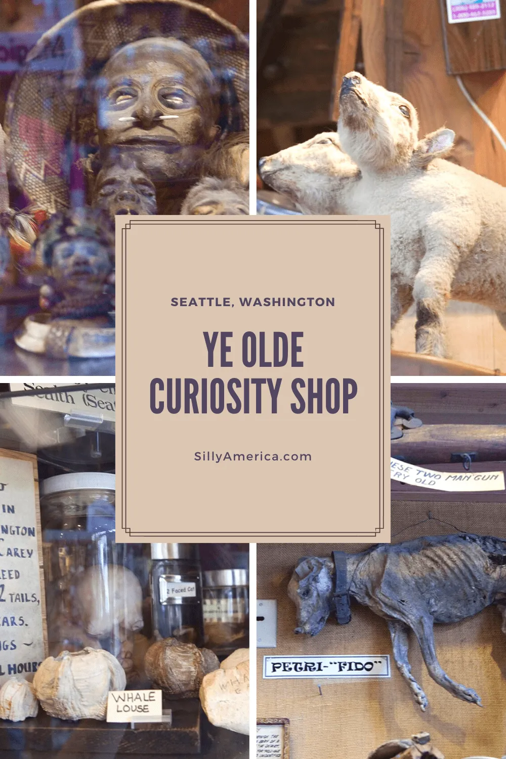 Ye Olde Curiosity Shop in Seattle, Washington is a must-see destination for lovers of the weird. The shop and oddity museum opened in 1899. #WashingtonRoadsideAttractions #WashingtonRoadsideAttraction #RoadsideAttractions #RoadsideAttraction #RoadTrip #WashingtonRoadTrip #WashingtonRoadTripMap #WashingtonRoadTripBucketLists #WashingtonBucketList #WashingtonWinterRoadTrip #SeattleRoadTrip #Seattle #SeattleWashington