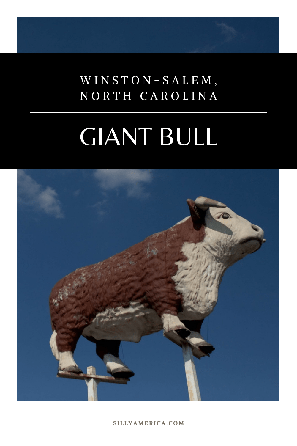 In 2020 the Thrift-Way Meats Giant Bull in Winston-Salem, North Carolinawas moved to Fratellis Italian Steakhouse to replicate Staley’s Bull AKA Winston the Bull. Visit this roadside attraction on a North Carolina road trip. #NorthCarolinaRoadsideAttractions #NorthCarolinaRoadsideAttraction #RoadsideAttractions #RoadsideAttraction #RoadTrip #NorthCarolinaRoadTrip #NorthCarolinaRoadTripBucketLists #NorthCarolinaBucketList 