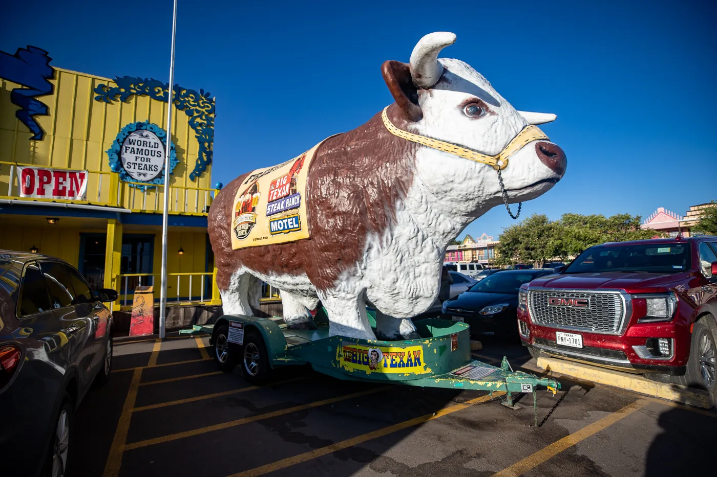 Big steer at the The Big Texan Steak Ranch in Amarillo, Texas