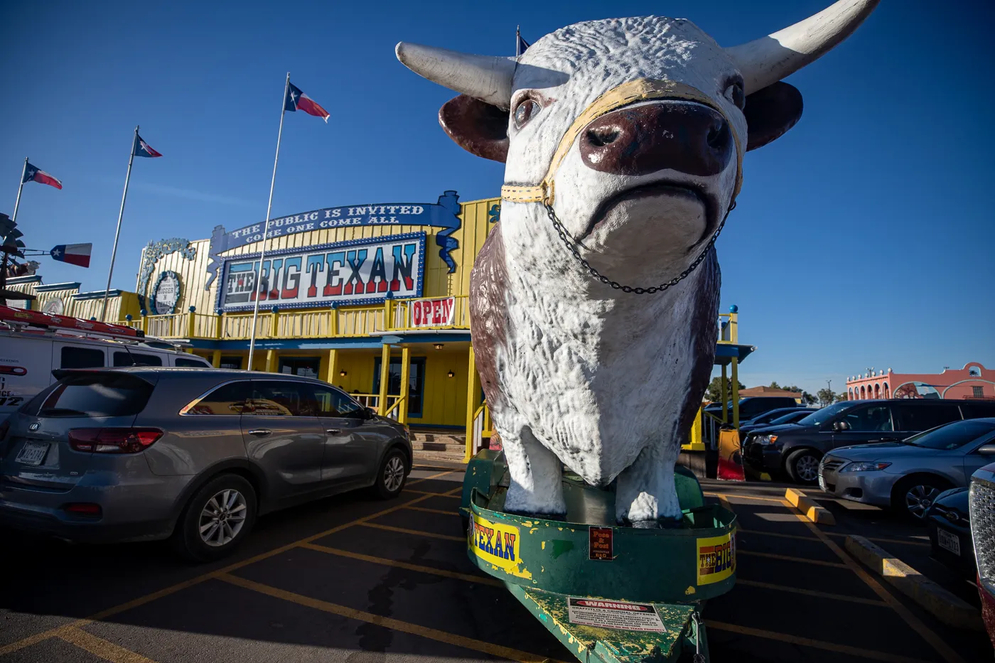 Big steer at the The Big Texan Steak Ranch in Amarillo, Texas