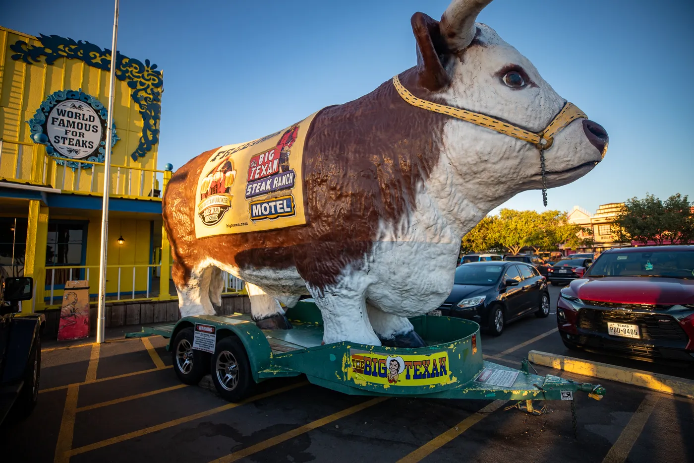 Big steer at the The Big Texan Steak Ranch in Amarillo, Texas