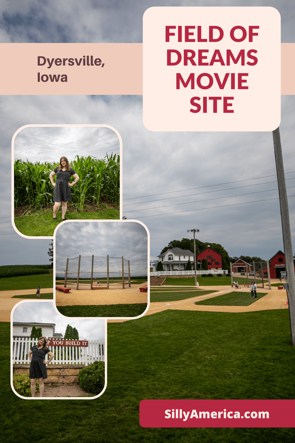 Tasseling Corn at Field of Dreams Movie Site, near Dyersvil…