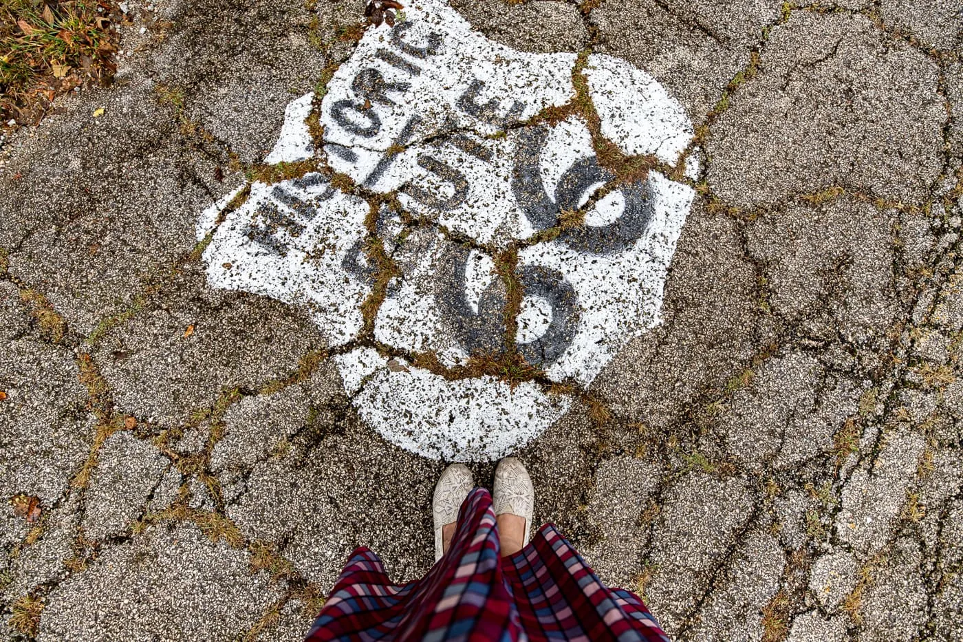 Route 66 shield on the road of Route 66 Memory Lane in Lexington, Illinois