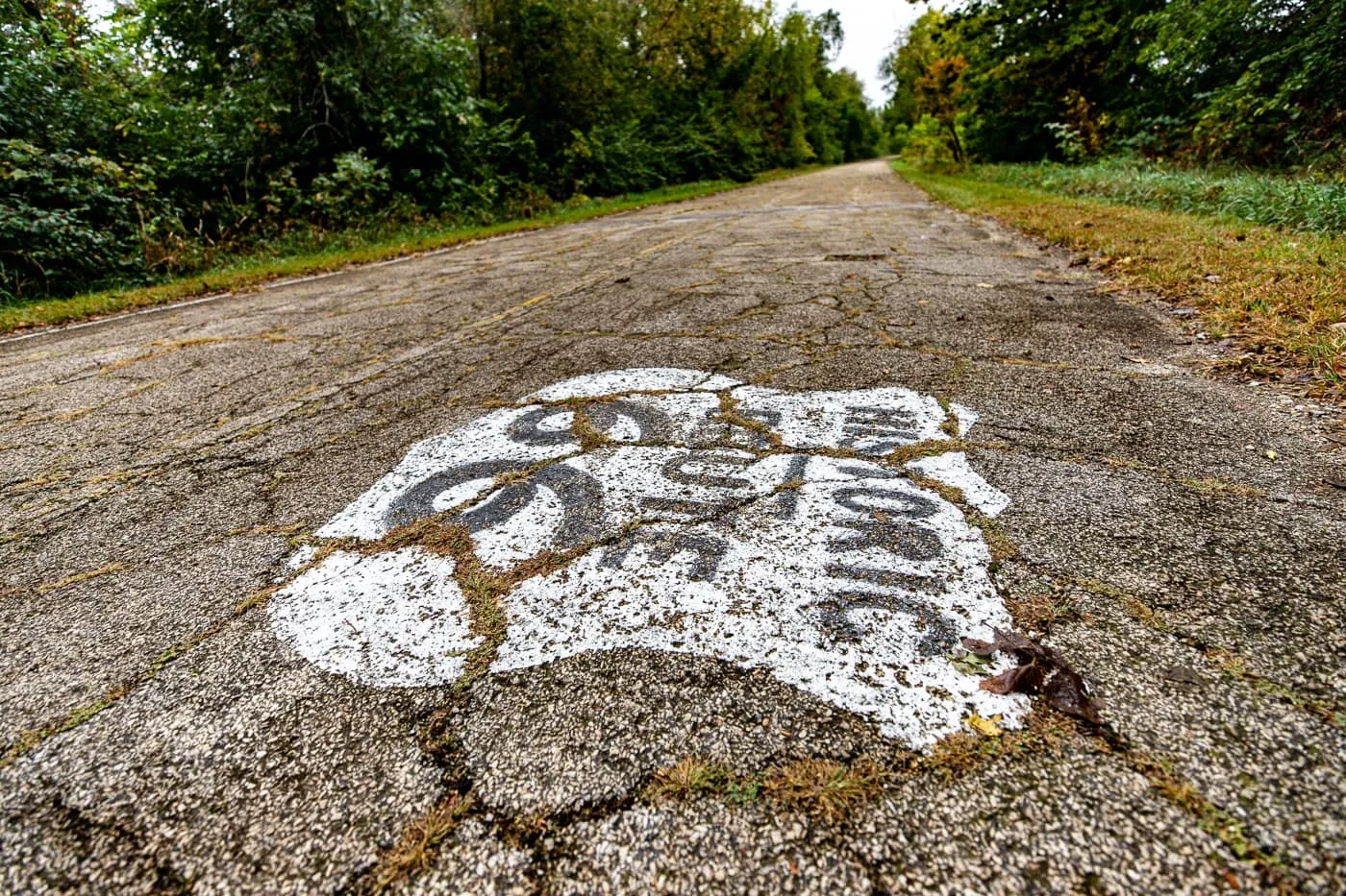 Route 66 shield on the road of Route 66 Memory Lane in Lexington, Illinois