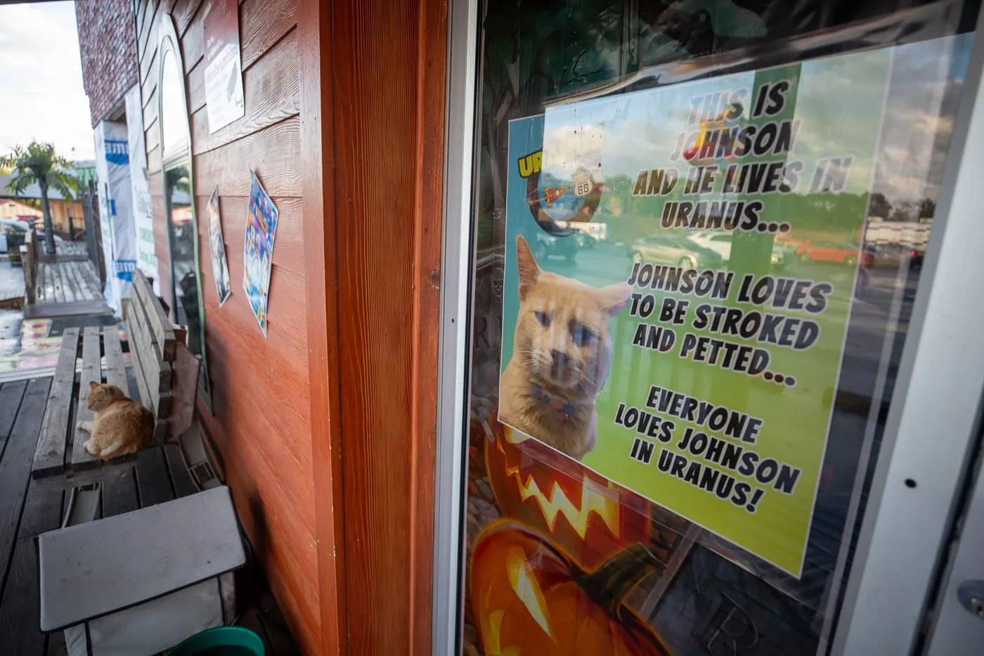 Johnson the cat at Uranus, Missouri and the Uranus Fudge Factory and General Store - Route 66 Roadside Attraction