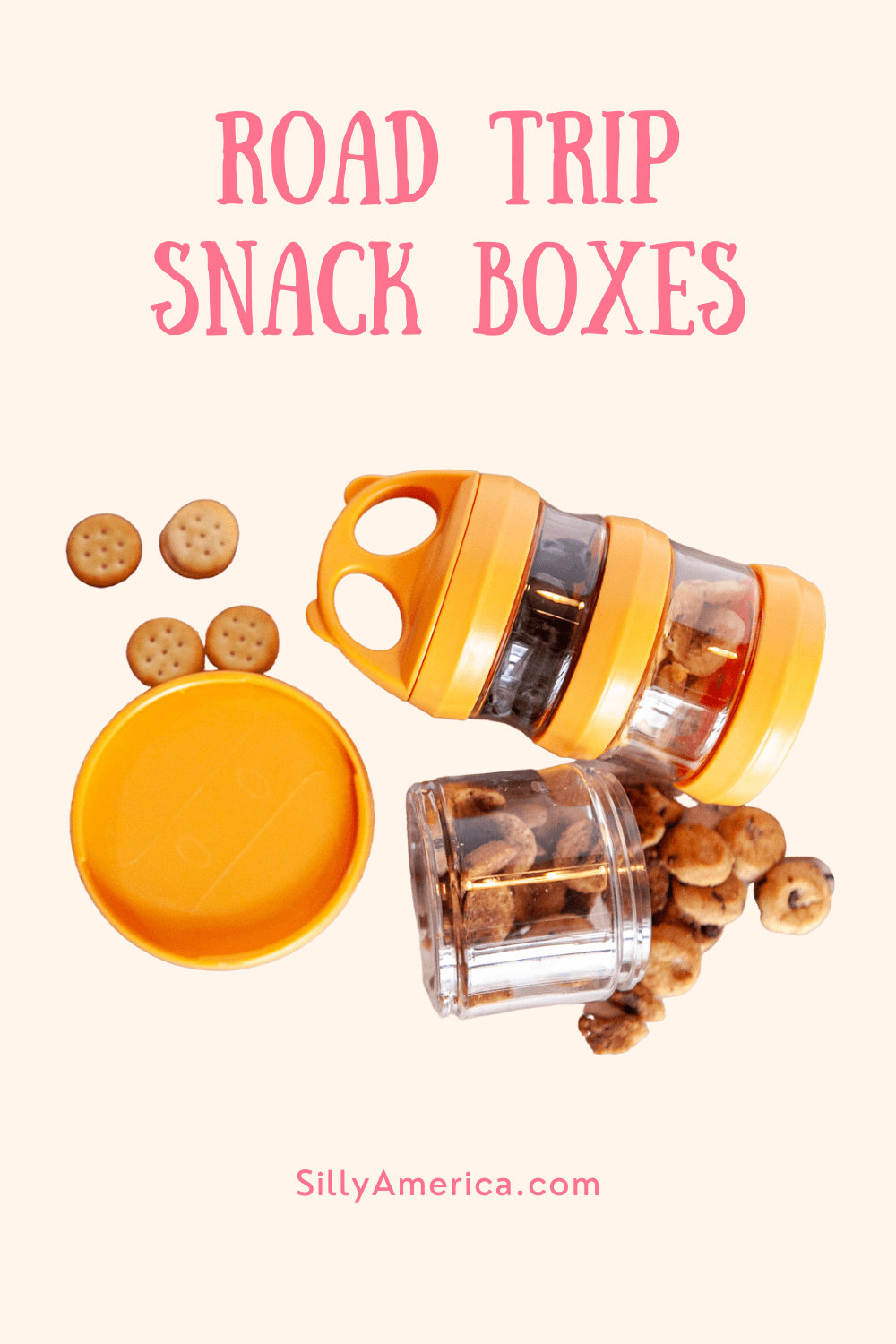 Road Trip Snack Boxes