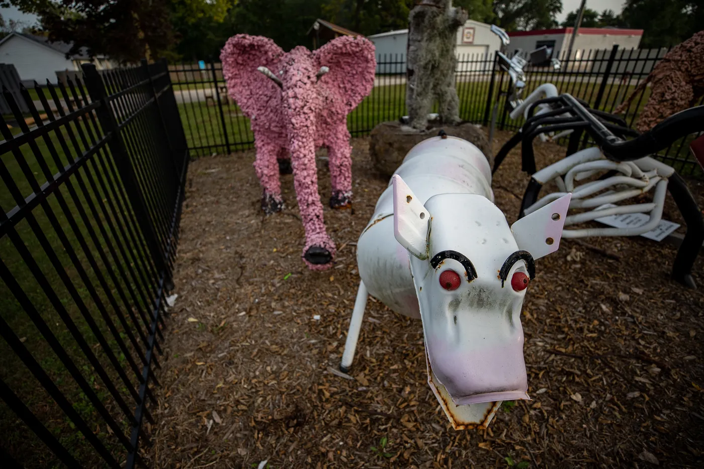 Braidwood Zoo in Braidwood, Illinois: Route 66 Art Animals