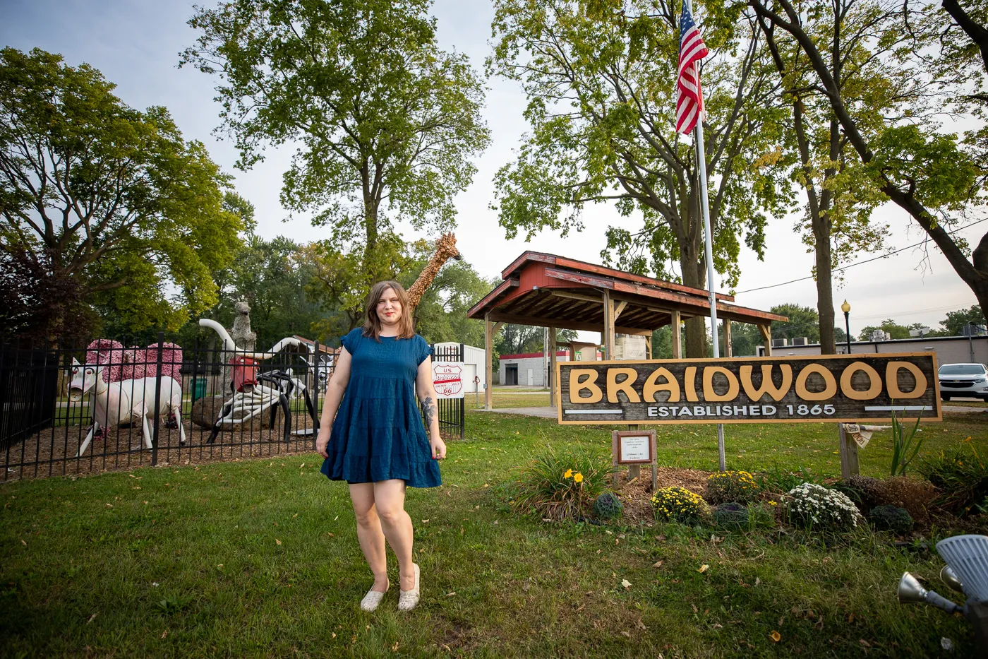 Braidwood Zoo in Braidwood, Illinois: Route 66 Art Animals