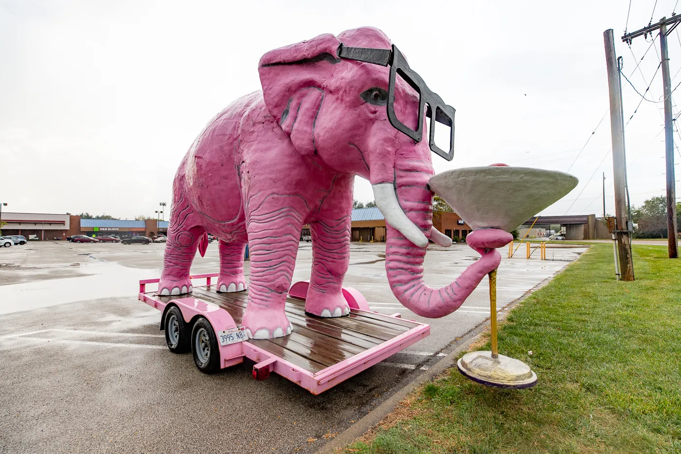 Pinky the Pink Elephant with a Martini Glass in Springfield, Illinois roadside attraction