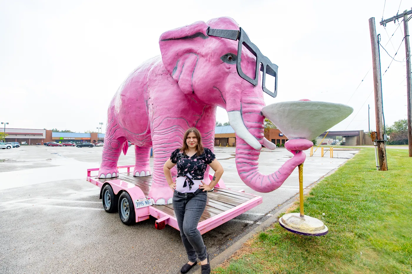 Pinky the Pink Elephant with a Martini Glass in Springfield, Illinois roadside attraction