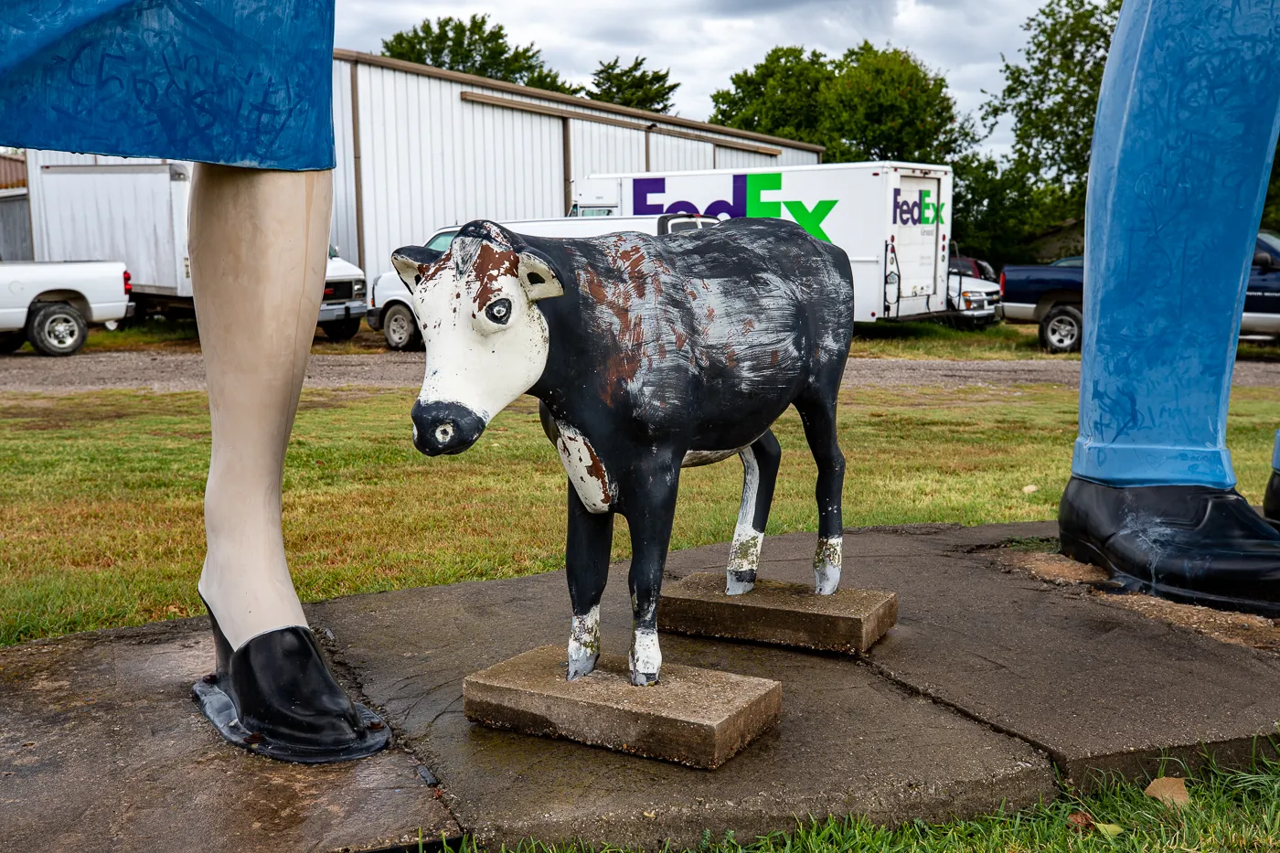 Fiberglass Cow at Glenn Goode's Big People in Gainesville, Texas Roadside Attraction