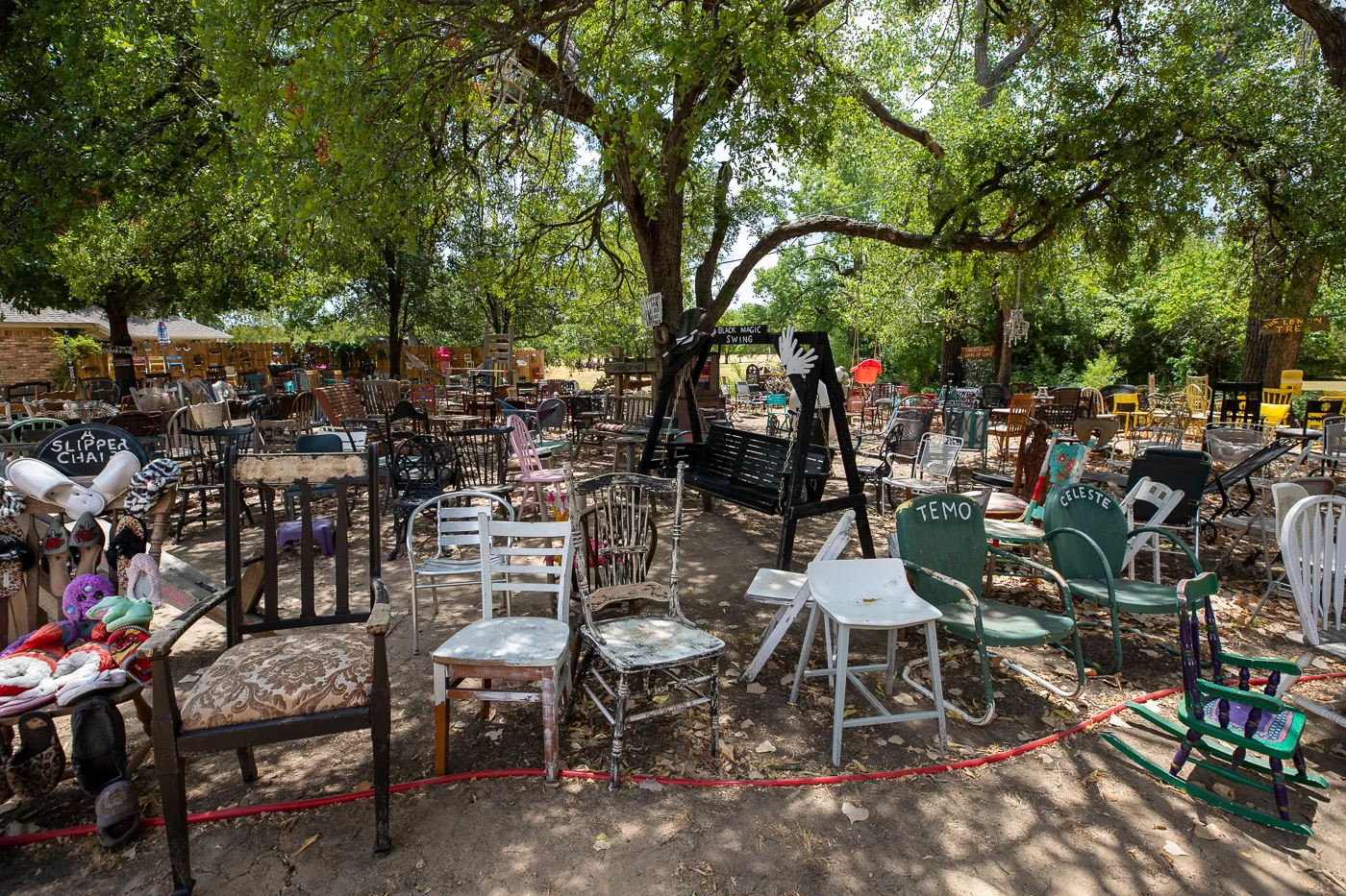 The Chairy Orchard in Denton, Texas roadside attraction