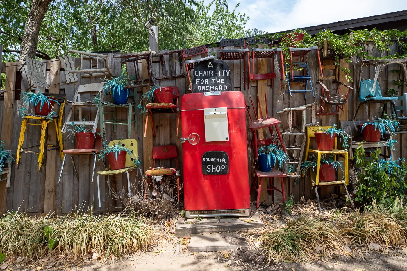 The Chairy Orchard in Denton, Texas roadside attraction