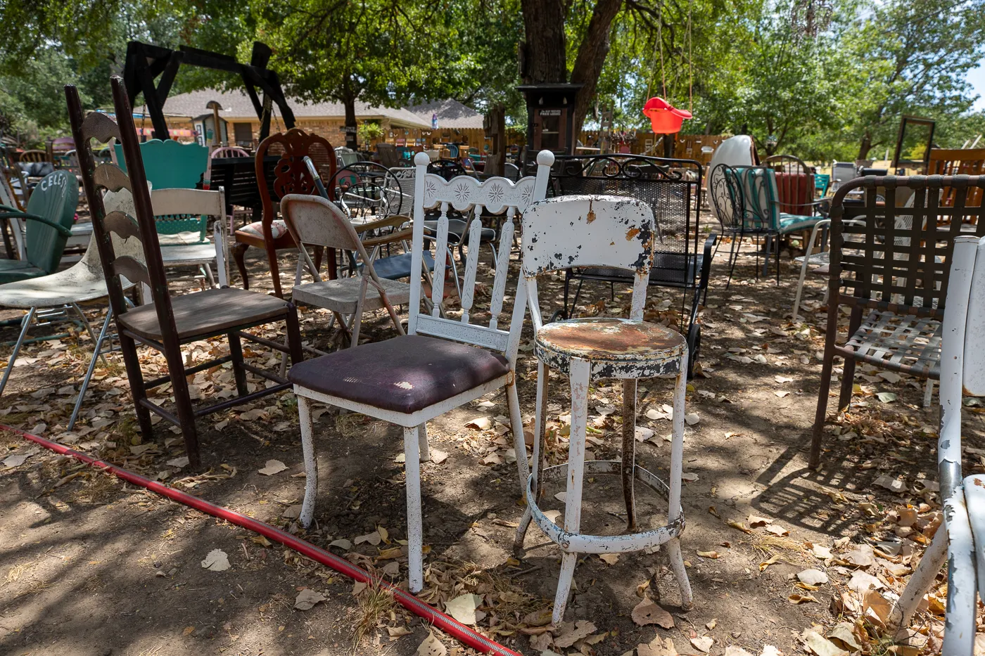 The Chairy Orchard in Denton, Texas roadside attraction