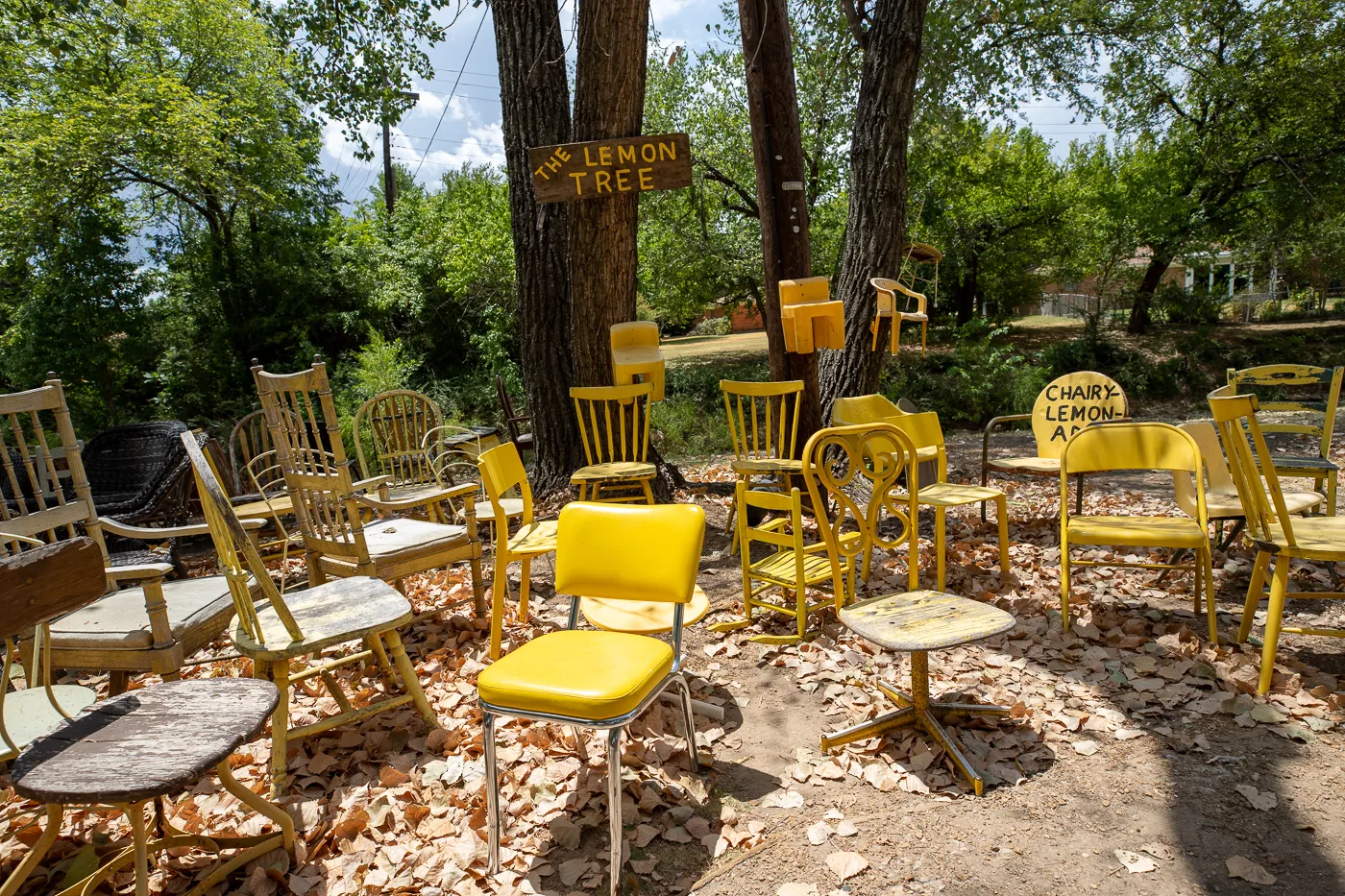 The Chairy Orchard in Denton, Texas roadside attraction