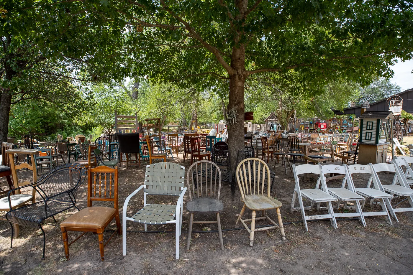 The Chairy Orchard in Denton, Texas roadside attraction