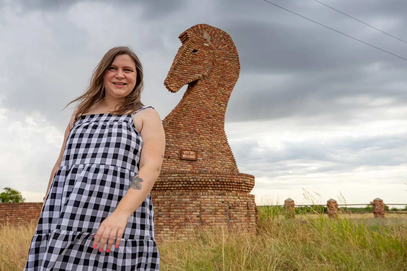 Giant Horse Chess Piece in Gainesville, Texas I-35 Roadside Attraction