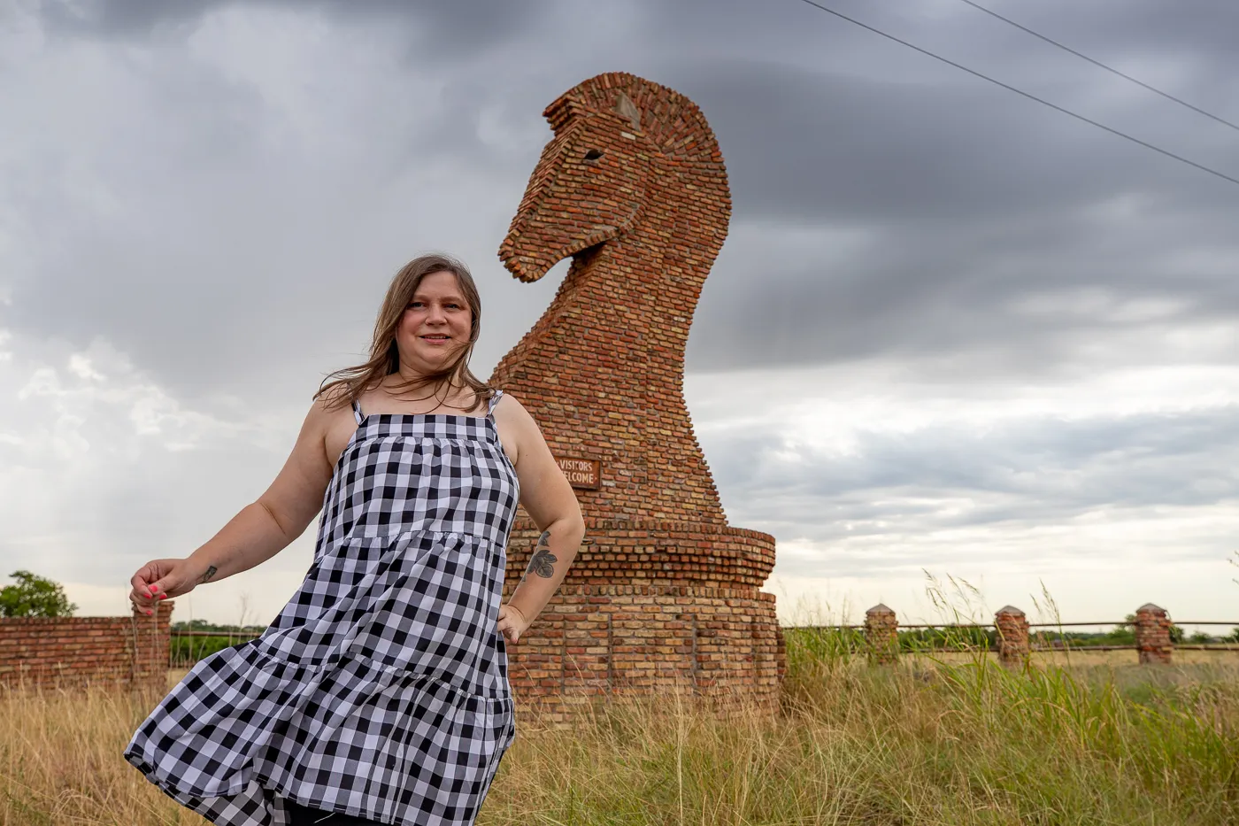 Giant Horse Chess Piece in Gainesville, Texas I-35 Roadside Attraction