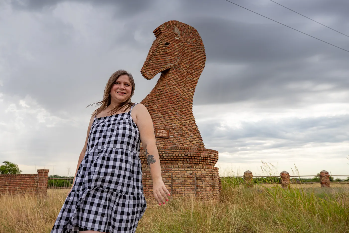 Giant Horse Chess Piece in Gainesville, Texas I-35 Roadside Attraction