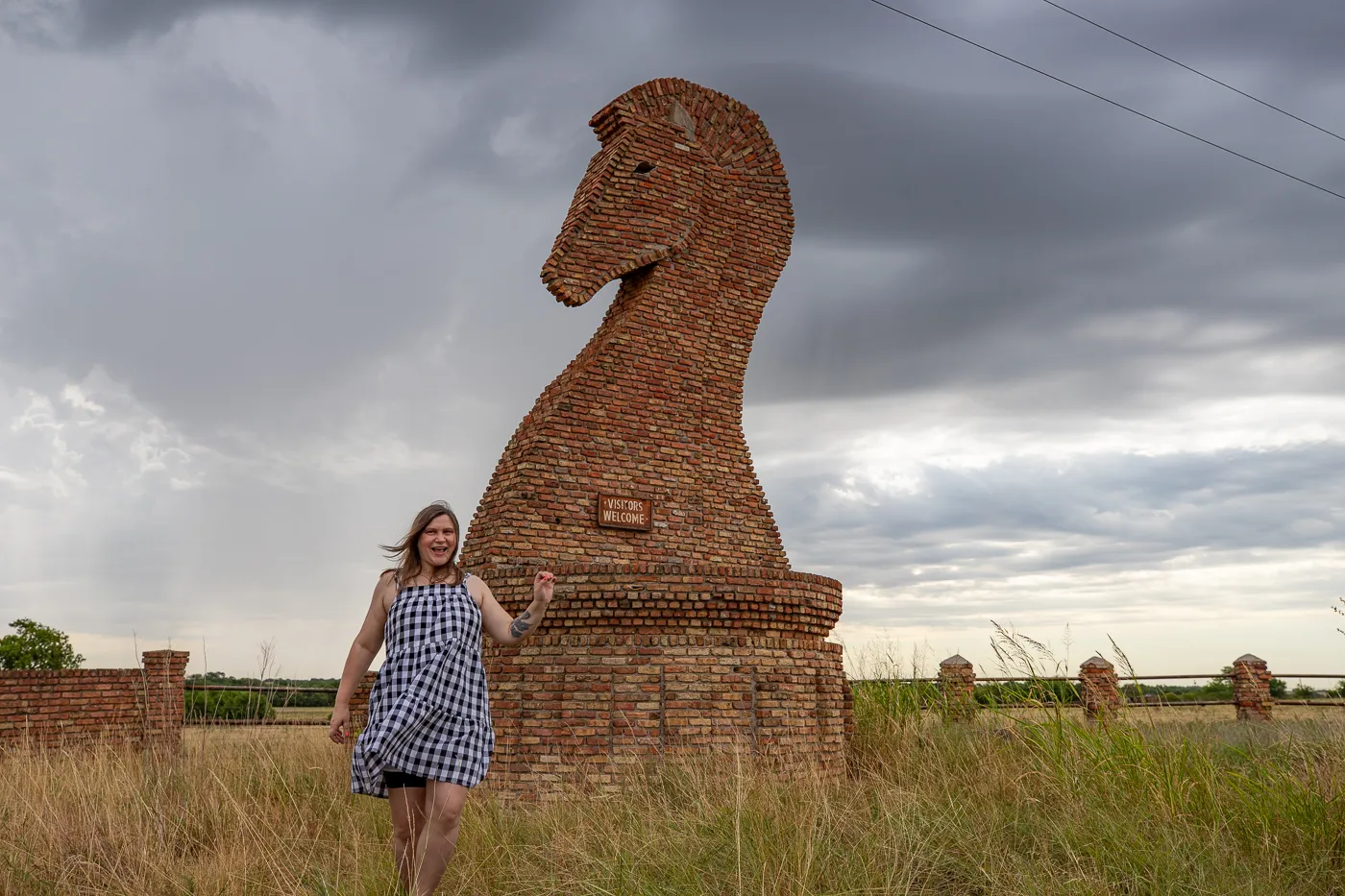 Giant Horse Chess Piece in Gainesville, Texas I-35 Roadside Attraction