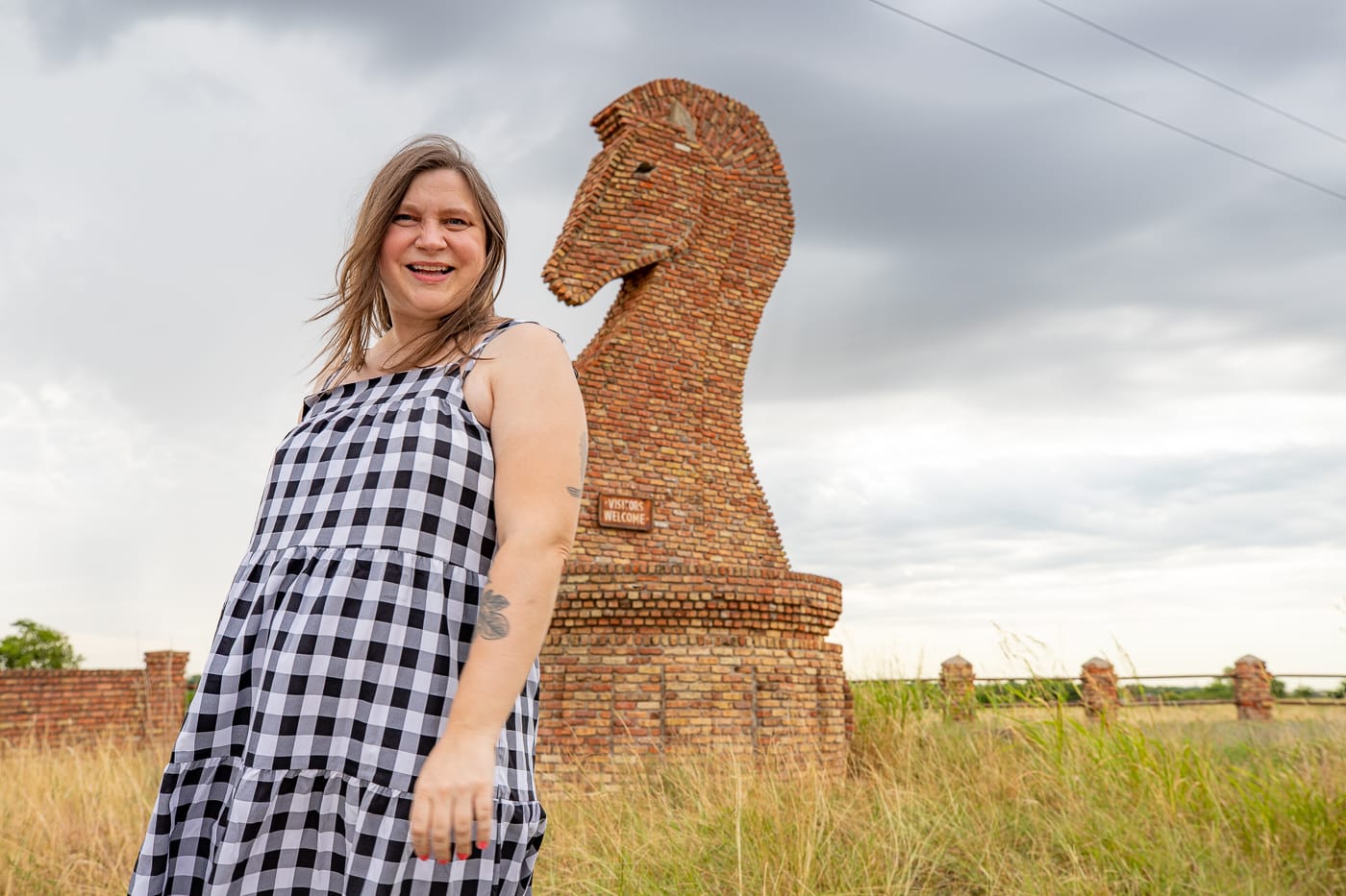 Giant Horse Chess Piece in Gainesville, Texas I-35 Roadside Attraction