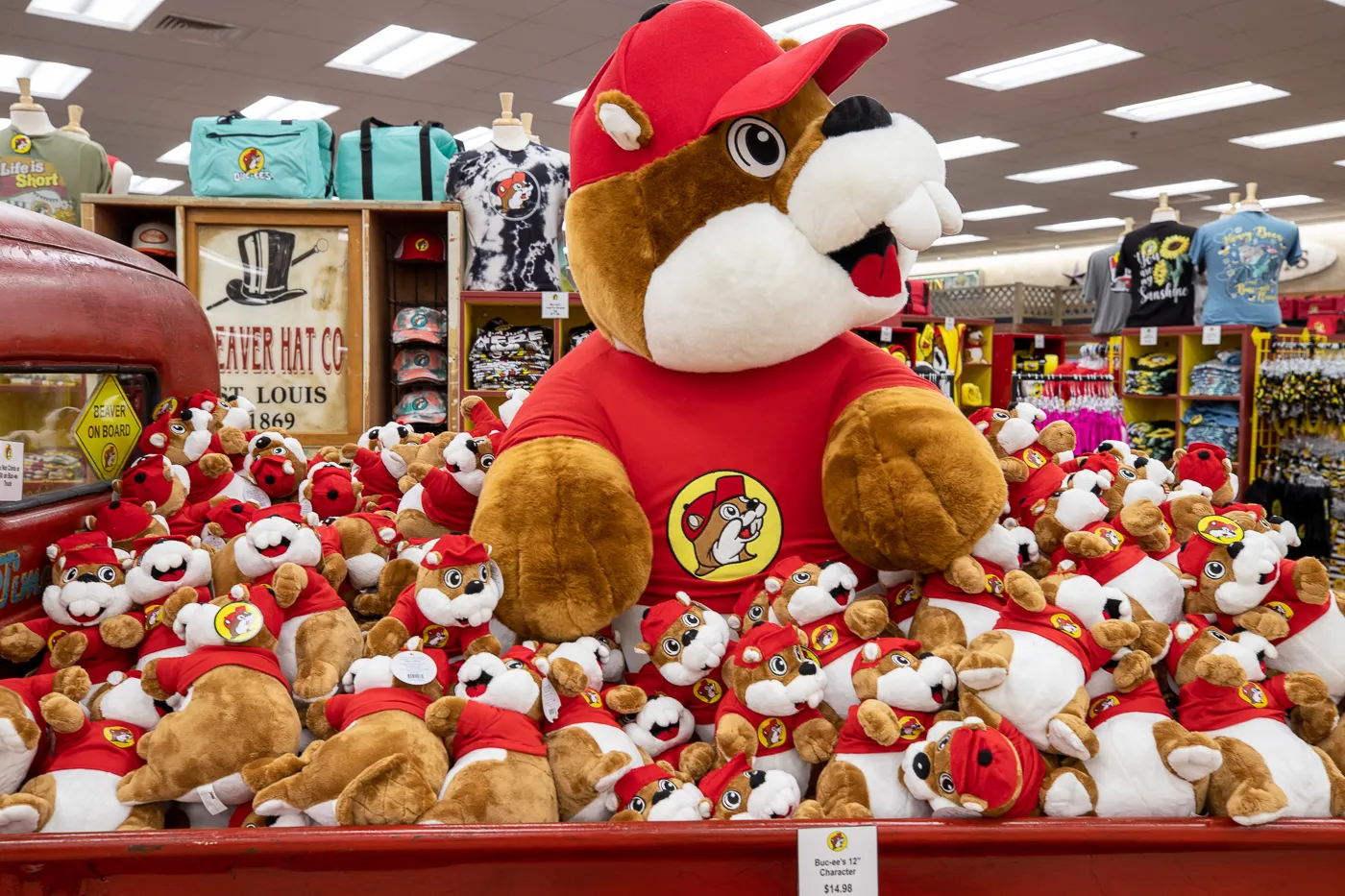 Stuffed Animal Buc-ee's Beavers - Buc-ee's in Denton, Texas