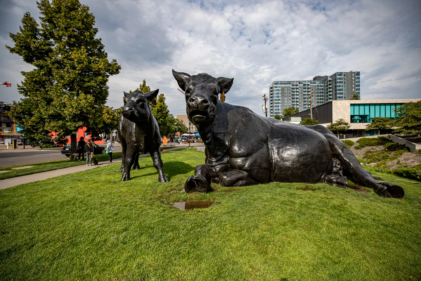 Scottish Angus Cow & Calf - Giant Cows in Denver, Colorado roadside attraction