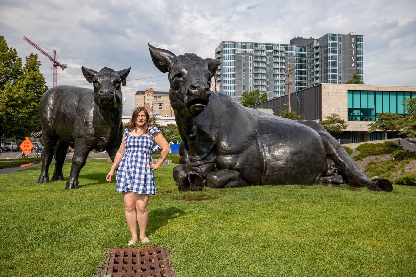 Scottish Angus Cow & Calf - Giant Cows in Denver, Colorado roadside attraction